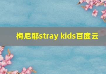 梅尼耶stray kids百度云